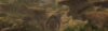 Skywind