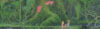 Secret of Mana