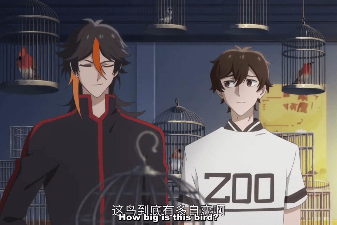 These Years I opened zoo header