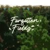 Forgotten Fields - Feature Image