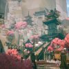 Tasomachi: Behind The Twilight - Feature Image