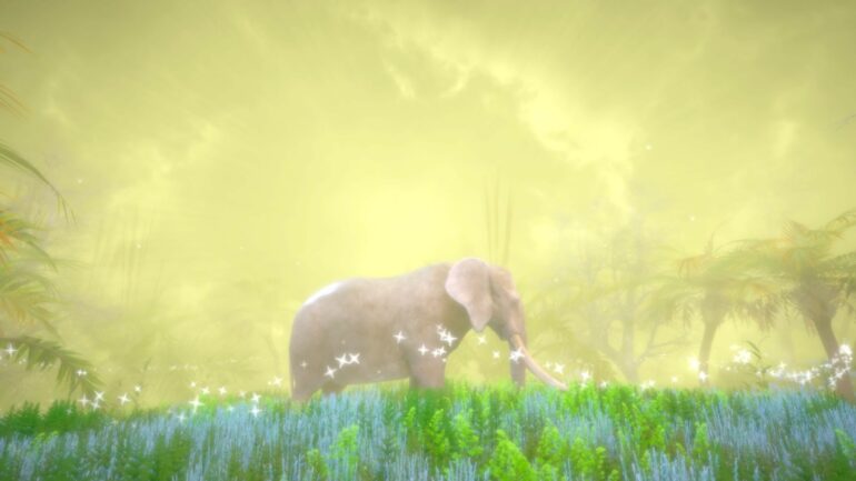 Hidden Treasures in the Forest of Dreams Elephant