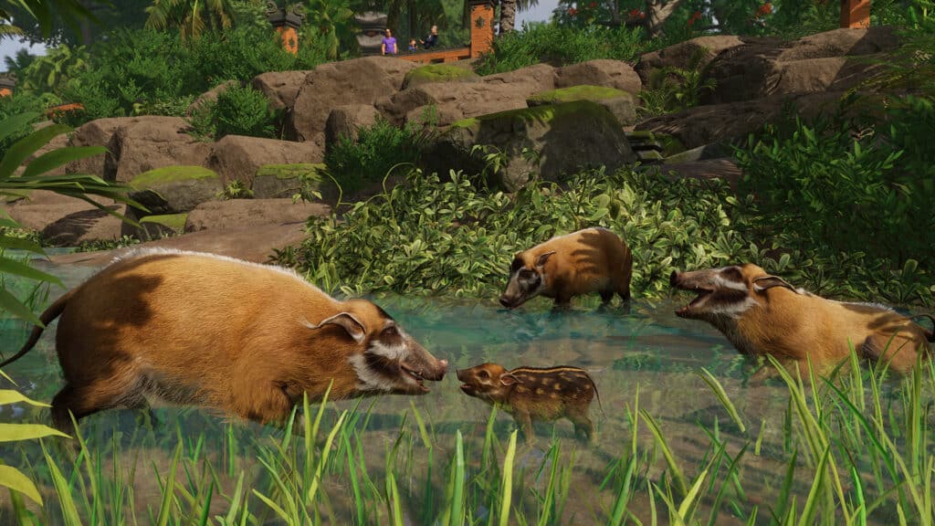 Planet Zoo: Tropical Pack Screenshot 1