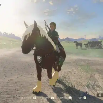 Zelda Tears of the Kingdom Horses