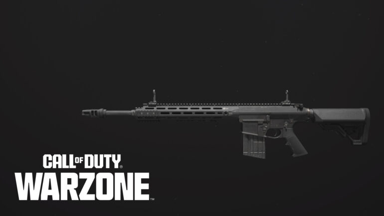 Tempus Torrent Call of Duty: Warzone Best Loadout