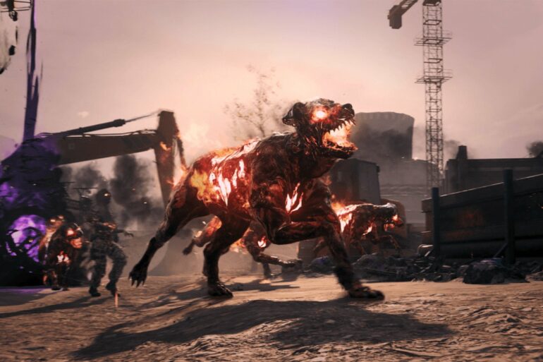 a Hellhound in MW3 Zombies
