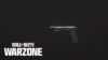 Call of Duty: Warzone Loadout Renetti