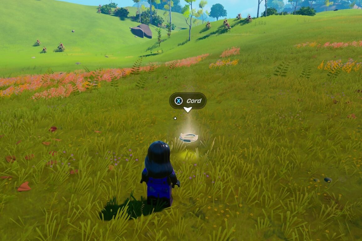 LEGO Fortnite: How To Get Cord