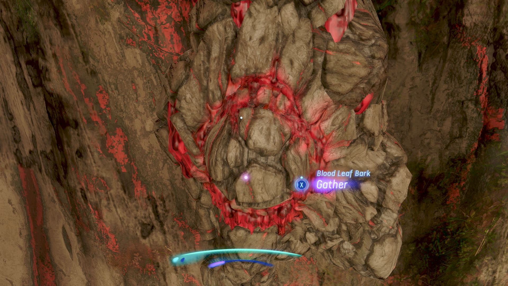 Blood Leaf Bark in Avatar: Frontiers of Pandora