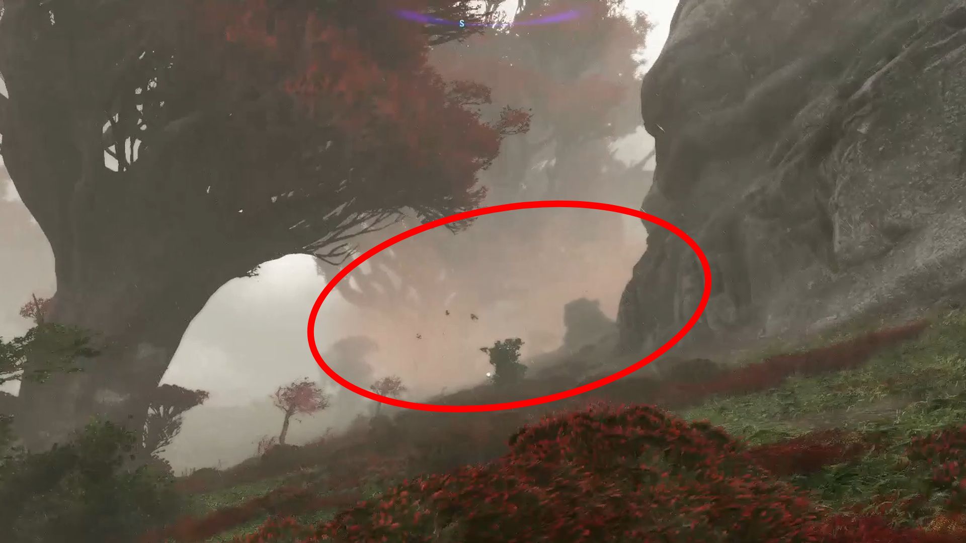 Red dust cloud around a Blood Leaf Tree in Avatar: Frontiers of Pandora