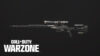 SP-X 80 Call of Duty: Warzone Best Loadout