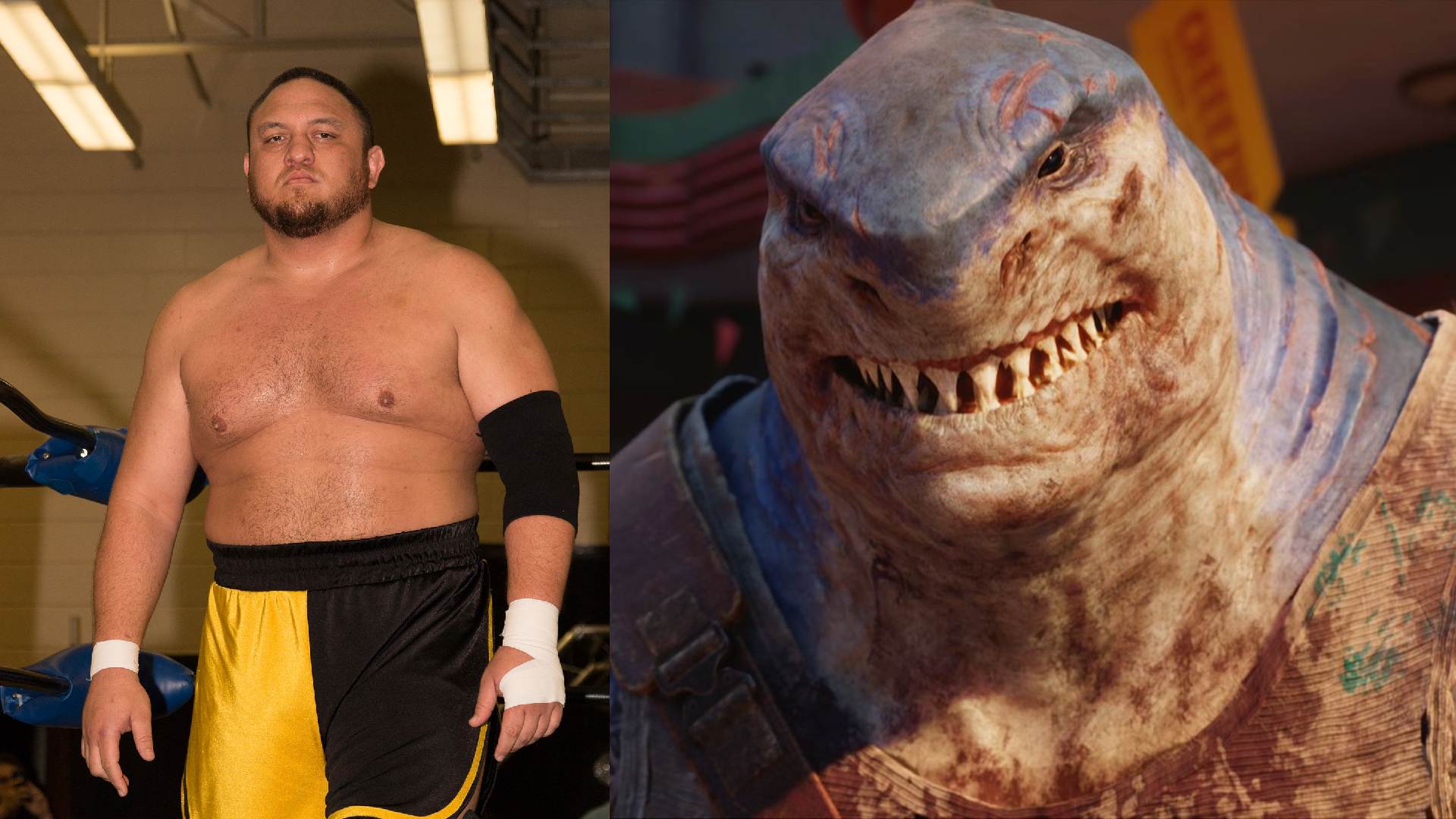 Samoa Shark Suicide Squad