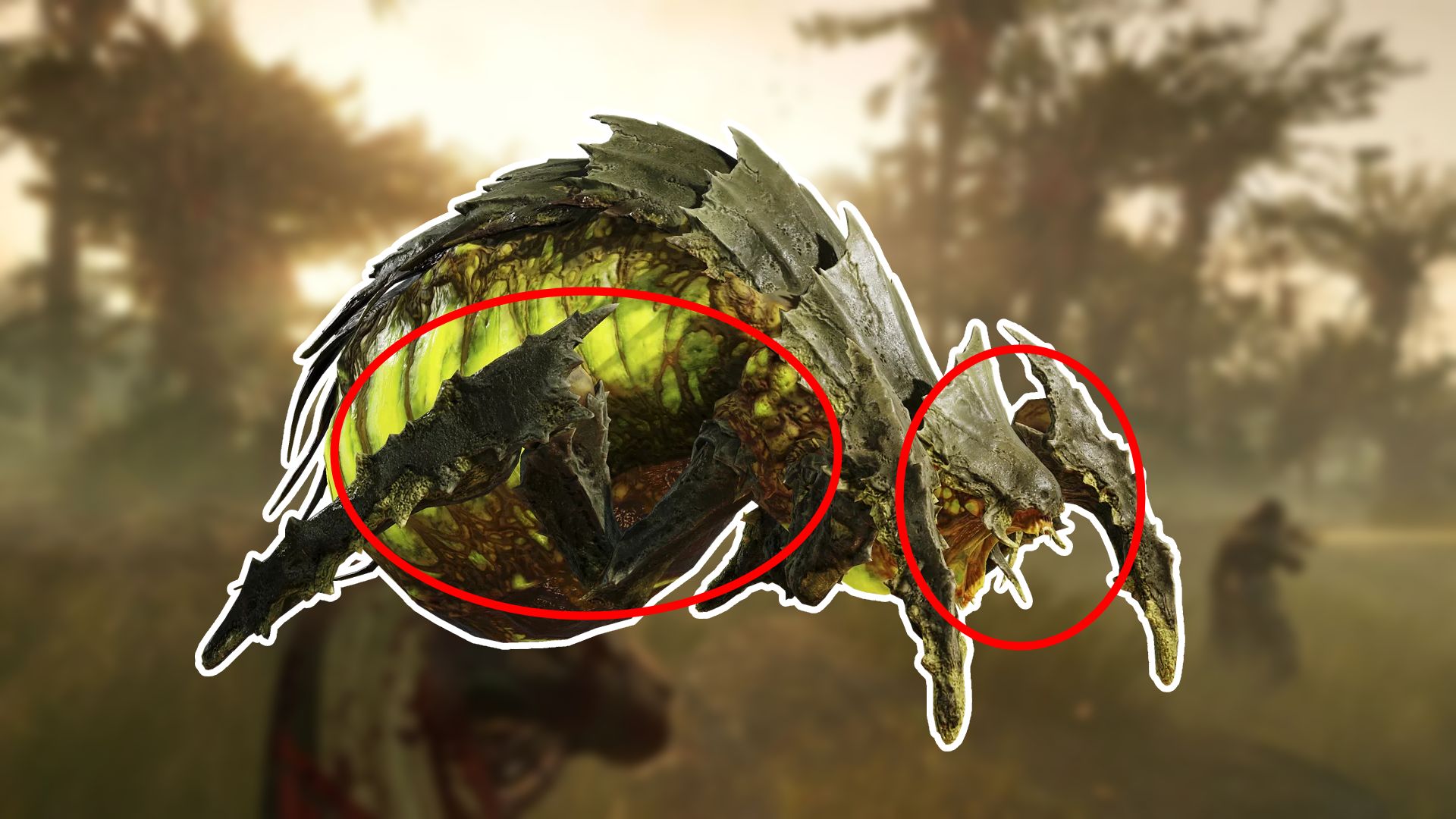 Bile Spewer Weak spots in Helldivers 2