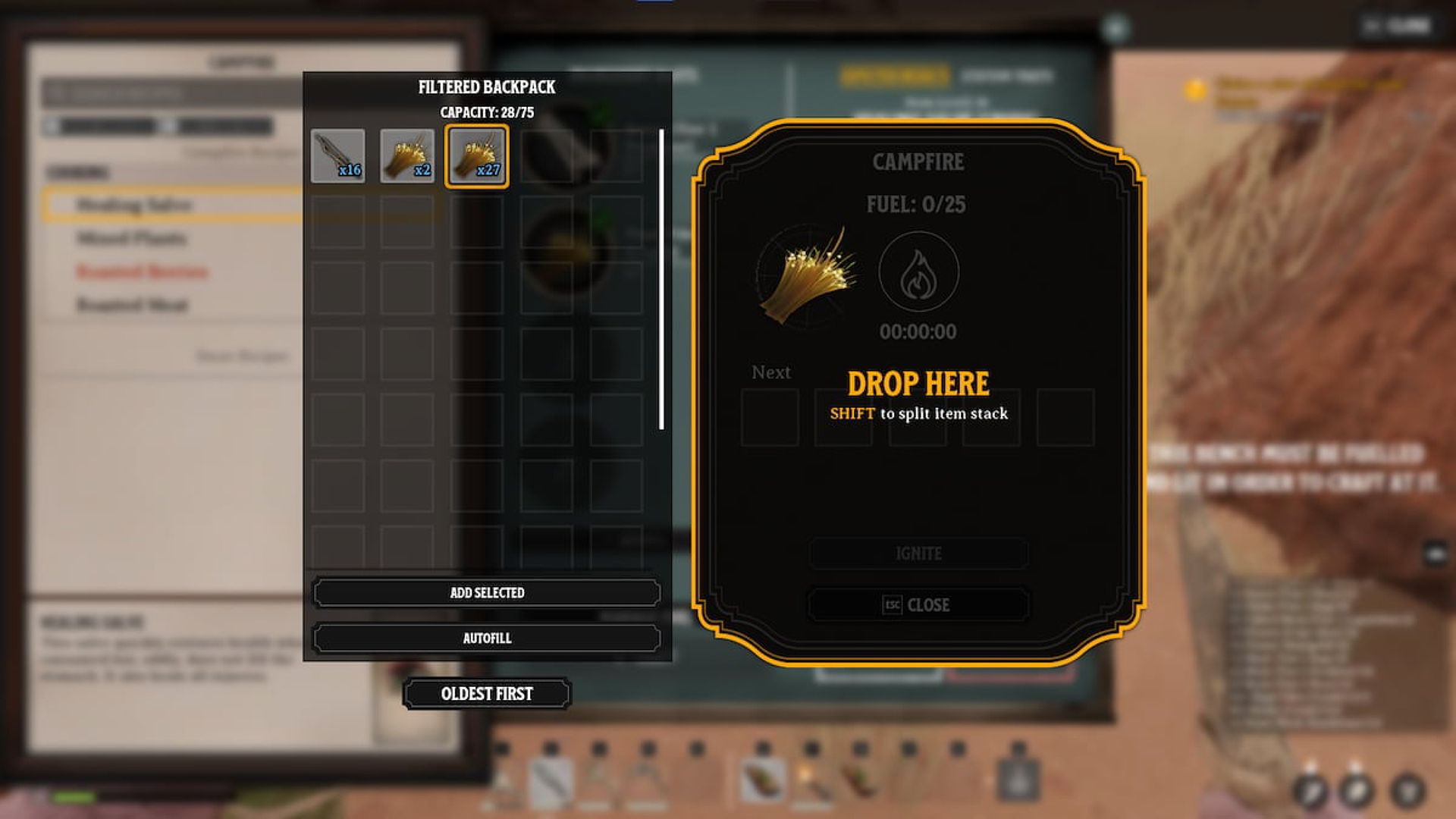 The campfire menu in Nightingale