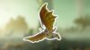 Helldivers 2 Flying Bugs What Are Shriekers?