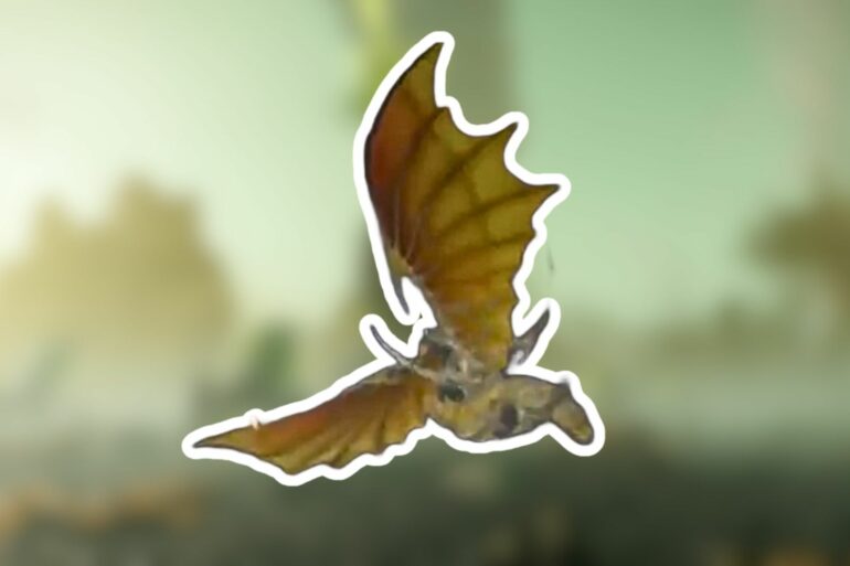 Helldivers 2 Flying Bugs What Are Shriekers?