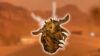 Helldivers 2 Players Spot Hive Lords, Are Convinced They Will Return