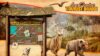 Wildlife photography board GTA Online