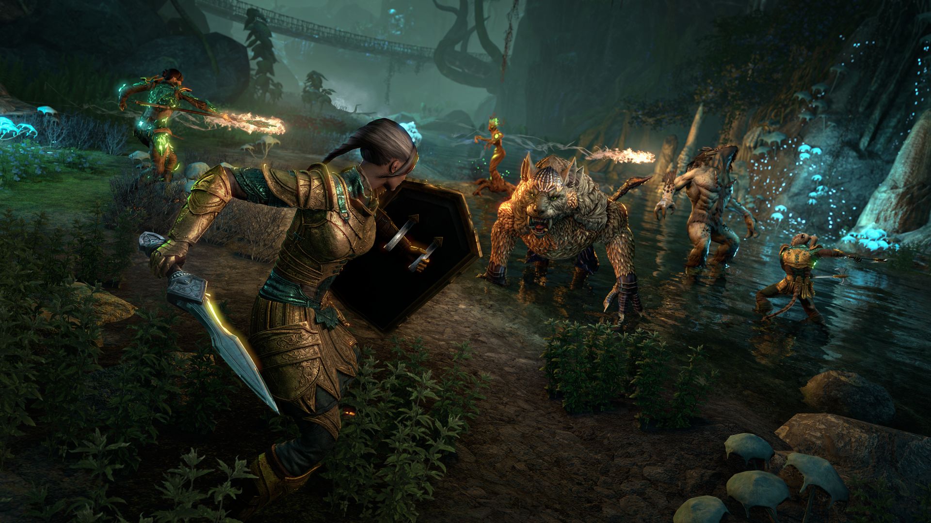 Elder Scrolls Online Gold Road Fighting