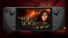 No Rest for the Wicked on Steam Deck