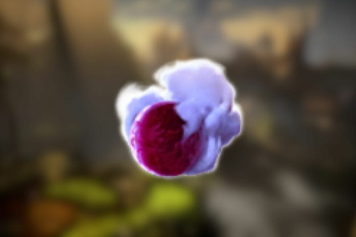 What Are Fallen Embers in No Rest for the Wicked?