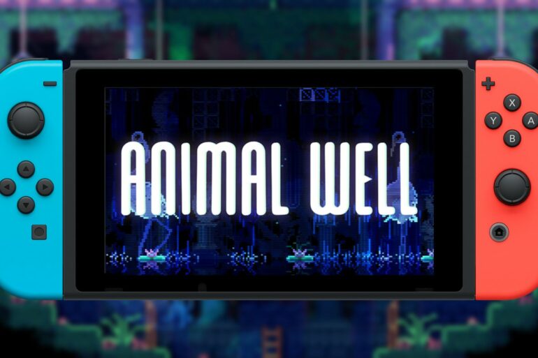 Animal Well on the Nintendo Switch