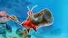 Kril in Another Crab's Treasure