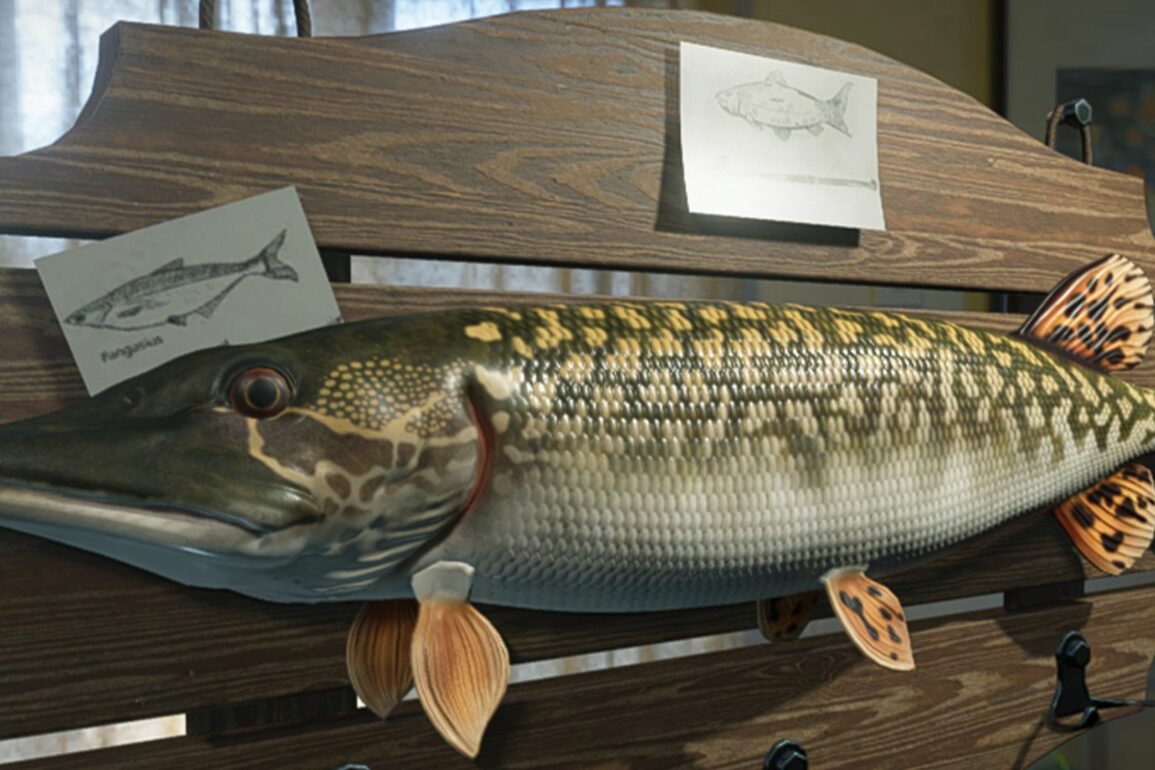 Once Human: Complete Fishing Guide